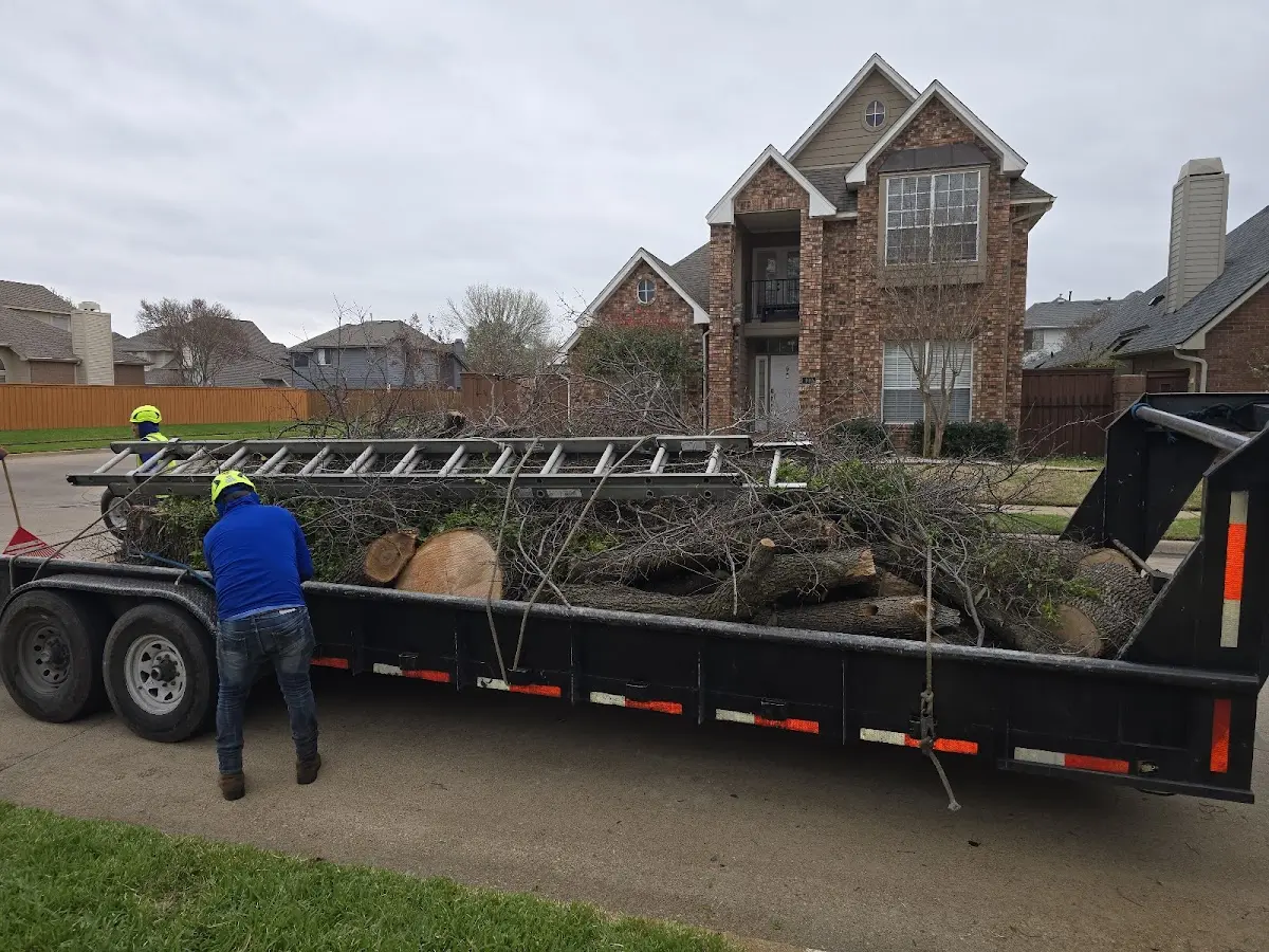 Expert Tree Removal with proper safety equipment in Carpentersville
